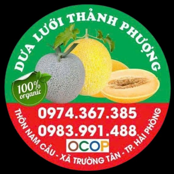 Dưa Lưới Thảnh Phượng