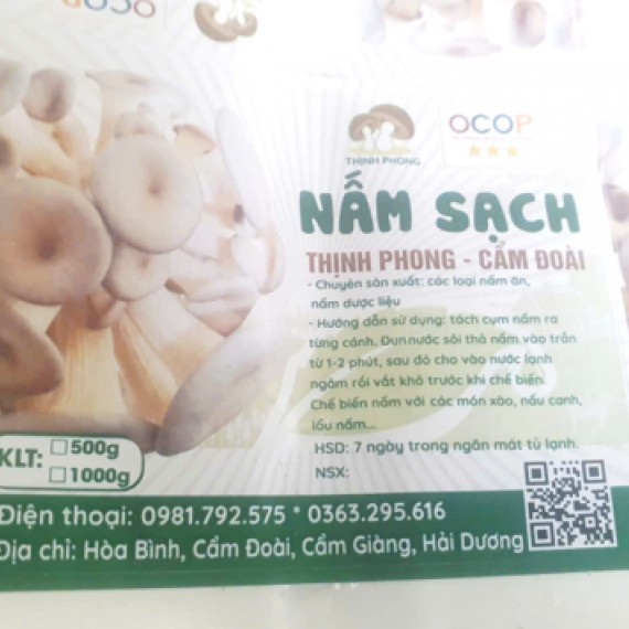 HỘ KINH DOANH VŨ HỒNG PHONG