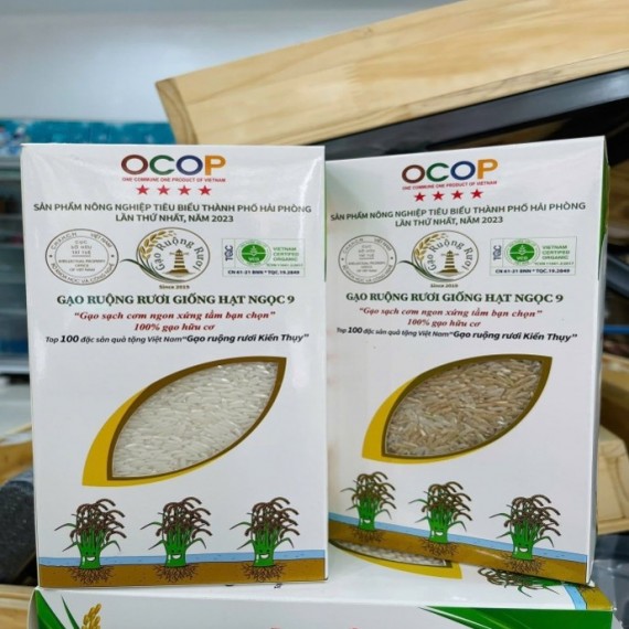 HỢP TÁC XÃ SẢN XUẤT KINH DOANH DỊCH VỤ NÔNG NGHIỆP THỤY HƯƠNG