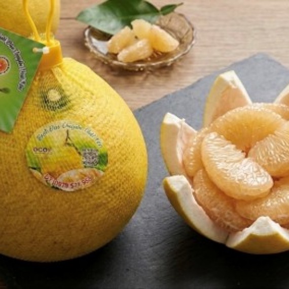 HỘ KINH DOANH VŨ THỊ HẢI HÀ
