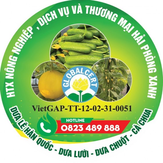 HỢP TÁC XÃ NÔNG NGHIỆP DỊCH VỤ VÀ THƯƠNG MẠI HẢI PHÒNG XANH