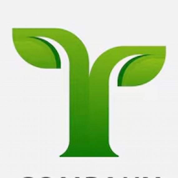 ho KD Nguyễn Thị Tình