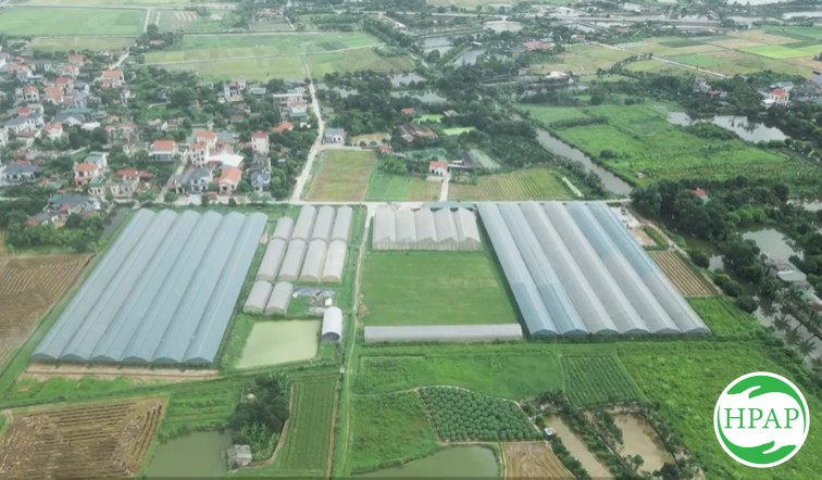101-htx-nong-nghiep-cong-nghe-cao-va-huu-co-phu-dien-12.jpg