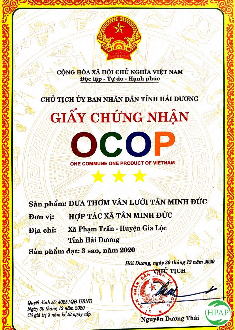 104-dua-luoi-thanh-phuong-1.jpg
