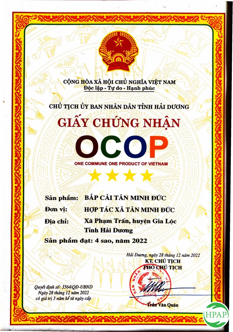 104-dua-luoi-thanh-phuong-2.jpg