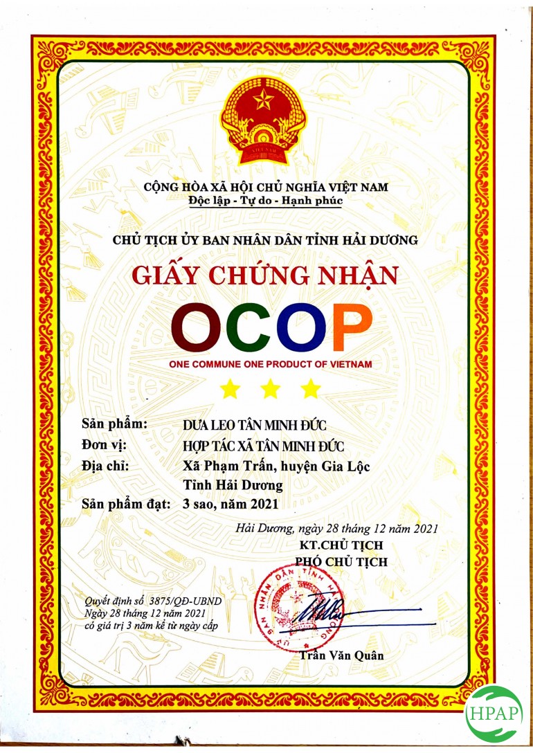 104-dua-luoi-thanh-phuong-3.jpg