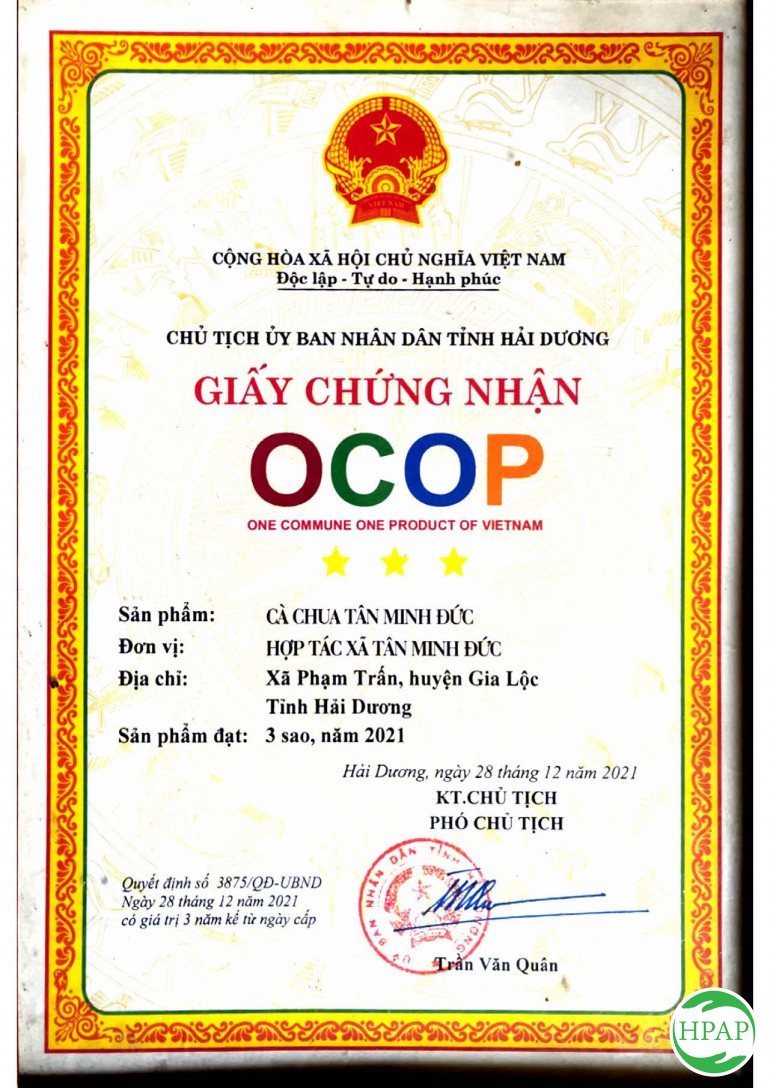 104-dua-luoi-thanh-phuong-4.jpg