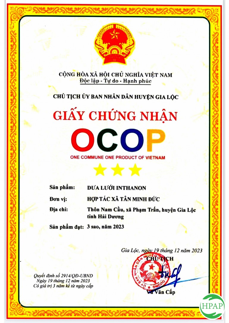 104-dua-luoi-thanh-phuong-5.jpg