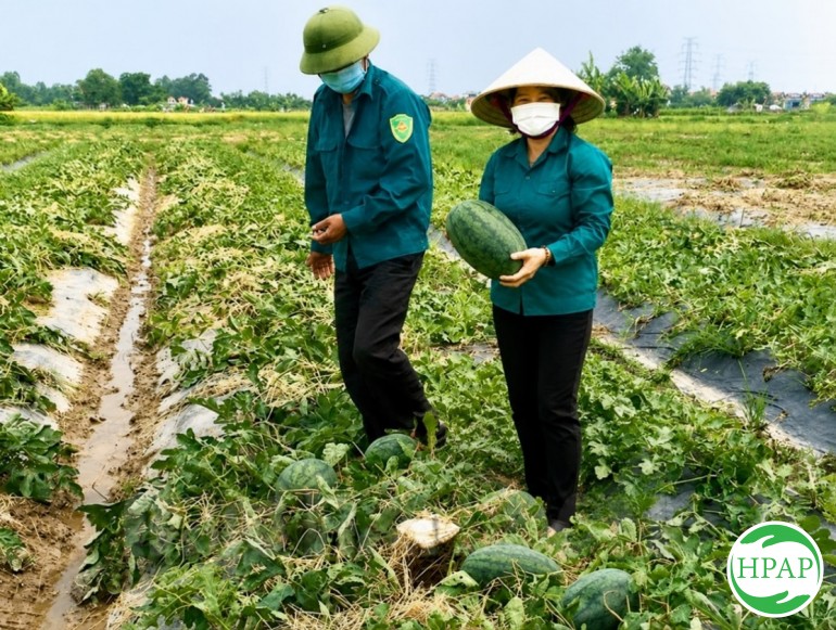 108-ho-kinh-doanh-vu-van-huynh-1.jpg
