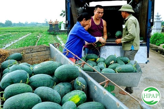 108-ho-kinh-doanh-vu-van-huynh-3.jpg