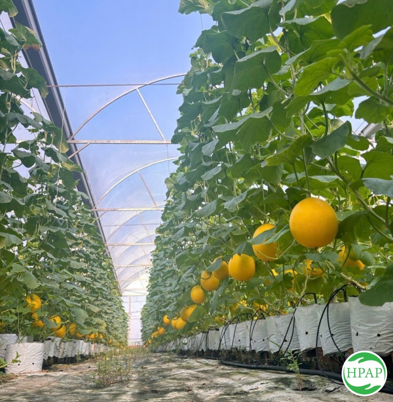 109-htx-au-viet-farm-4.jpg