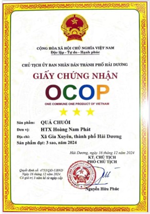 113-htx-hoang-nam-phat-3.jpg
