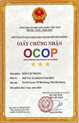 113-htx-hoang-nam-phat-4.jpg