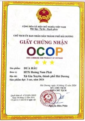 113-htx-hoang-nam-phat-5.jpg