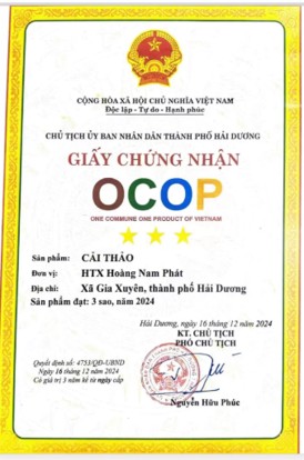 113-htx-hoang-nam-phat-6.jpg
