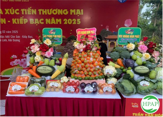 113-htx-hoang-nam-phat-7.jpg