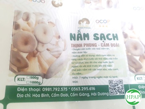 116-ho-kinh-doanh-vu-hong-phong-4.jpg
