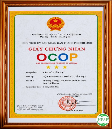 117-ho-kinh-doanh-hoang-tien-dat-1.jpg