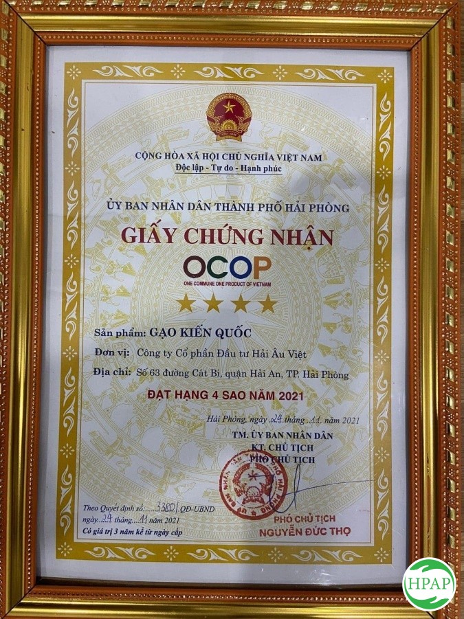121-cong-ty-co-phan-dau-tu-hai-au-viet-1.jpg