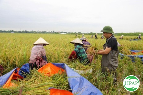 121-cong-ty-co-phan-dau-tu-hai-au-viet-6.jpg