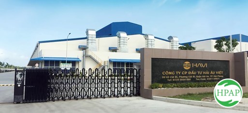 121-cong-ty-co-phan-dau-tu-hai-au-viet-7.jpg