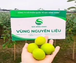 122-cong-ty-co-phan-quoc-te-suc-song-xanh-4.jpg