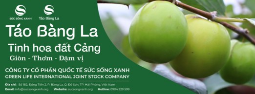 122-cong-ty-co-phan-quoc-te-suc-song-xanh-5.jpg