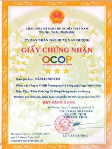 123-cong-ty-tnhh-thuong-mai-va-cong-nghe-ngoc-minh-chau-1.jpg