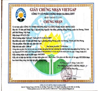 123-cong-ty-tnhh-thuong-mai-va-cong-nghe-ngoc-minh-chau-4.jpg
