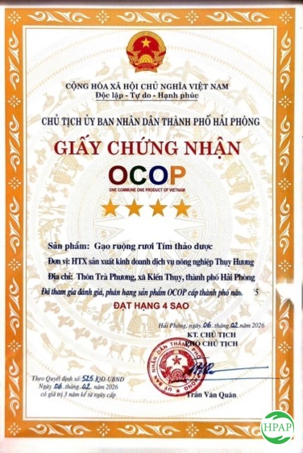 124-hop-tac-xa-san-xuat-kinh-doanh-dich-vu-nong-nghiep-thuy-huong-2.jpg