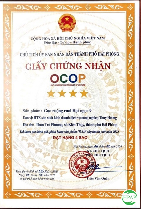 124-hop-tac-xa-san-xuat-kinh-doanh-dich-vu-nong-nghiep-thuy-huong-3.jpg