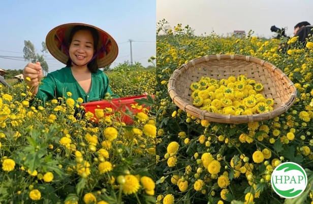 125-hop-tac-xa-san-xuat-kinh-doanh-dich-vu-nong-nghiep-xa-thang-thuy-6.jpg