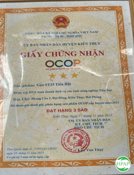 126-hop-tac-xa-san-xuat-kinh-doanh-dich-vu-san-xuat-nong-nghiep-tien-dat-1.jpg