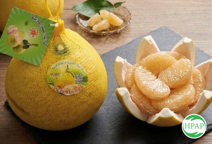 133-ho-kinh-doanh-vu-thi-hai-ha-3.jpg