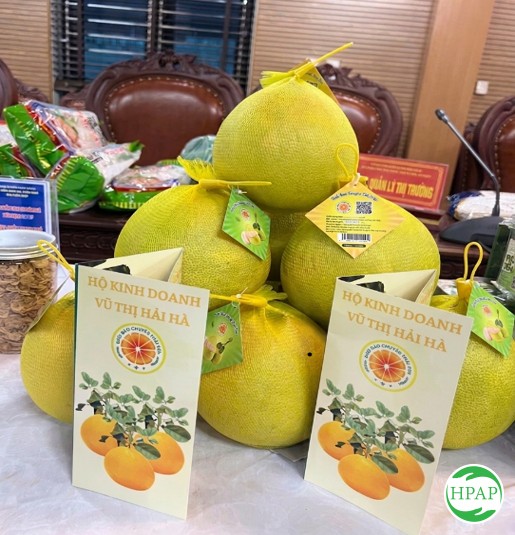 133-ho-kinh-doanh-vu-thi-hai-ha-4.jpg