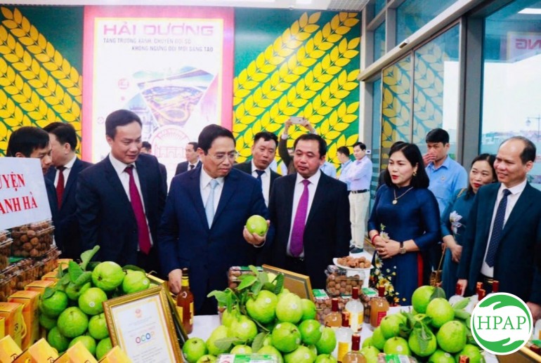 134-hop-tac-xa-nong-nghiep-sach-nam-vu-6.jpg