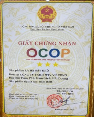 138-htx-cong-ty-tnhh-mtv-vu-cong-3.jpg
