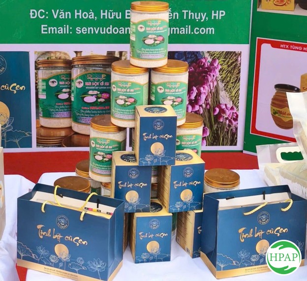 140-ho-kinh-doanh-va-san-xuat-vu-van-doan-5.jpg