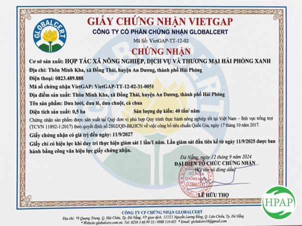 146-htx-hop-tac-xa-nong-nghiep-dich-vu-va-thuong-mai-hai-phong-xanh-1.jpg