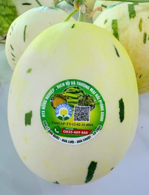 146-htx-hop-tac-xa-nong-nghiep-dich-vu-va-thuong-mai-hai-phong-xanh-6.jpg