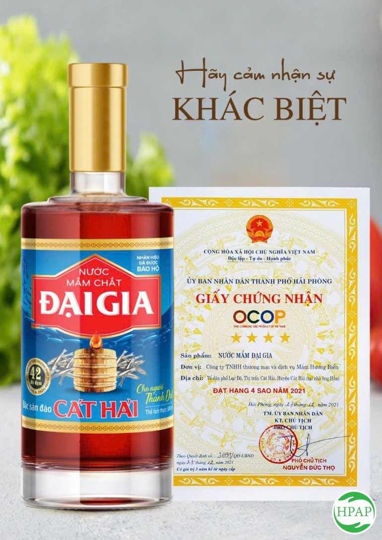 152-cong-ty-tnhh-thuong-mai-va-dich-vu-mam-huong-bien-8.jpg