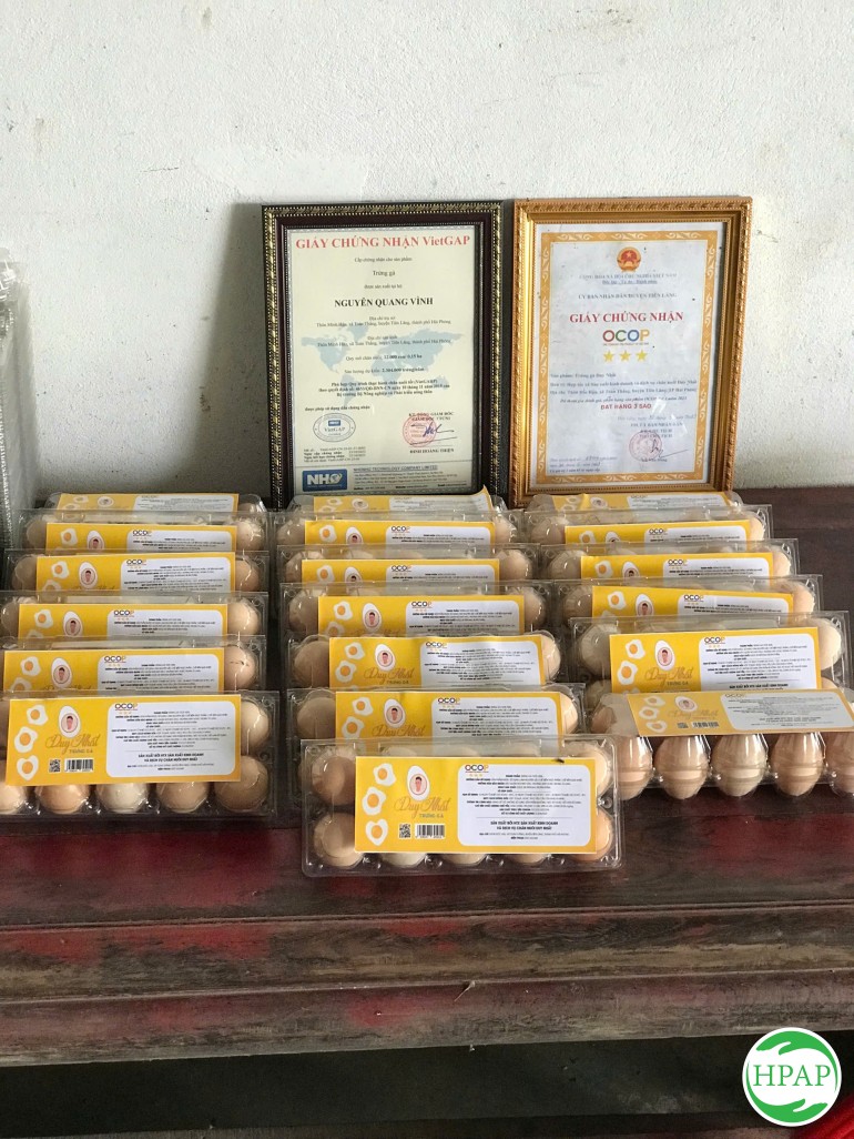 163-hop-tac-xa-san-xuat-kinh-doanh-va-dich-vu-chan-nuoi-duy-nhat-1.jpg