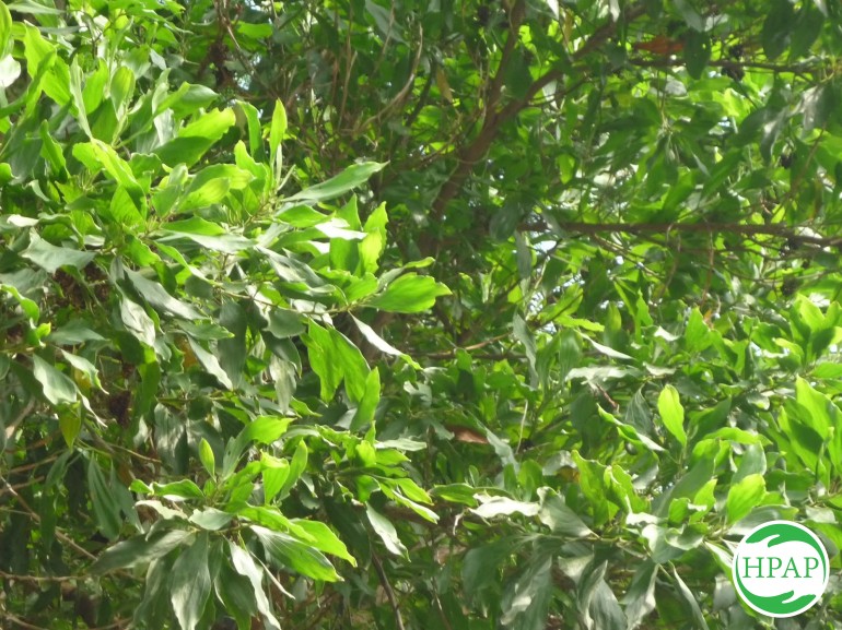 4-ho-kd-nguyen-thi-tinh-13.jpg