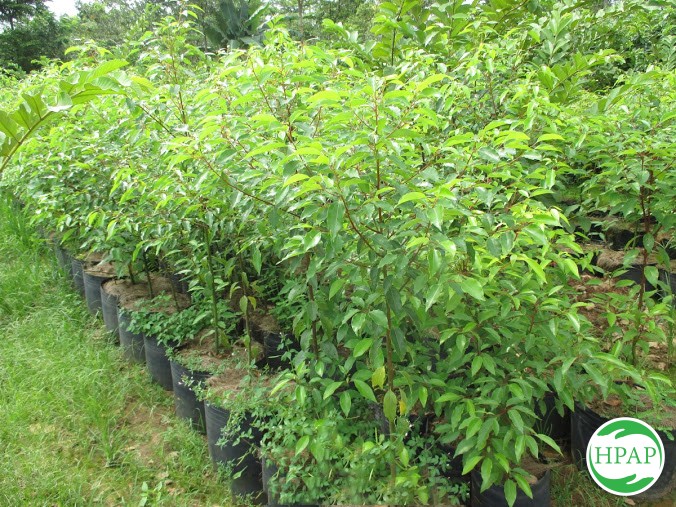 4-ho-kd-nguyen-thi-tinh-7.jpg
