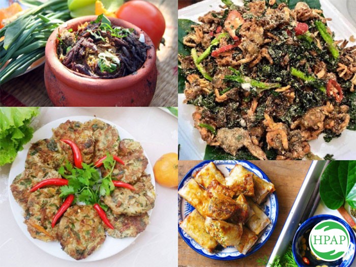 74-hop-tac-xa-du-lich-bao-ton-ruoi-cay-an-thanh-1.jpg