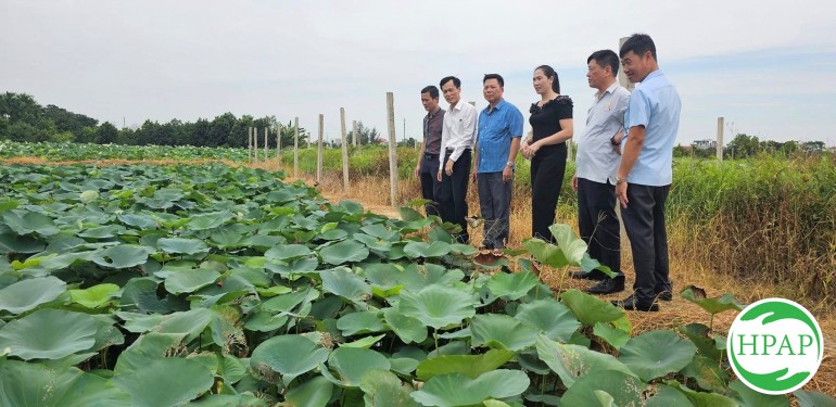75-hop-tac-xa-nong-nghiep-hoa-anh-tu-3.jpg