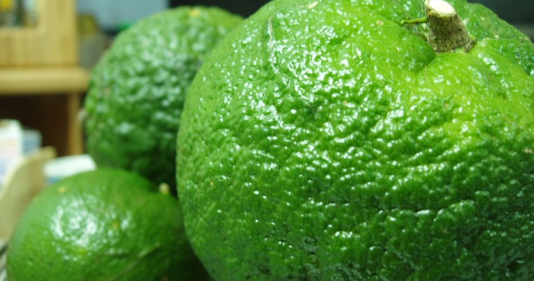 Tiêu Chuẩn Quốc Gia Tcvn 9302:2013 Cây Giống Cam, Quýt, Bưởi