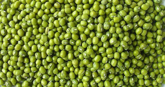 Tiêu Chuẩn Quốc Gia Tcvn 9304 : 2012 Hạt Giống Đậu of chicken meat 1