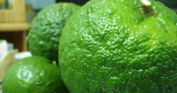 Tiêu Chuẩn Quốc Gia Tcvn 9302:2013 Cây Giống Cam, Quýt, Bưởi of chicken meat 1