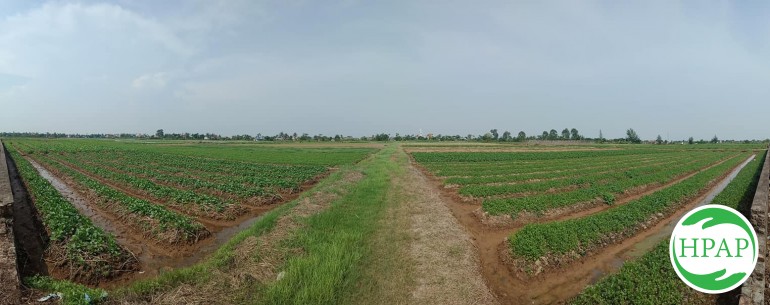 86-ma-so-vung-trong-nhung-dieu-can-biet-1.jpg